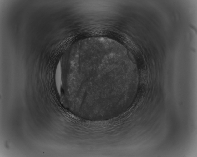 X0000097460029200803201436