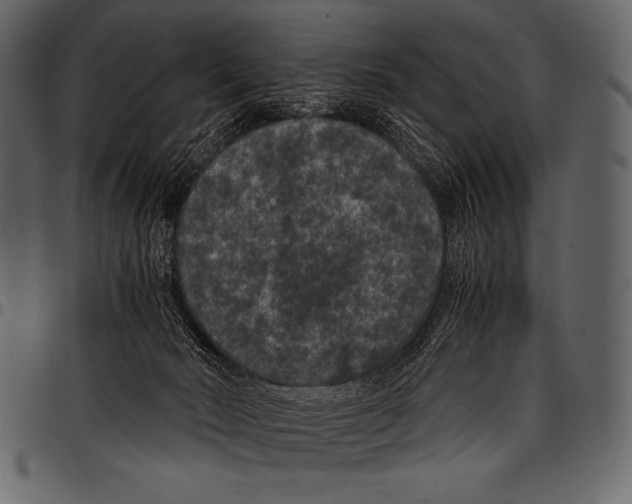 X0000097460030200803201436