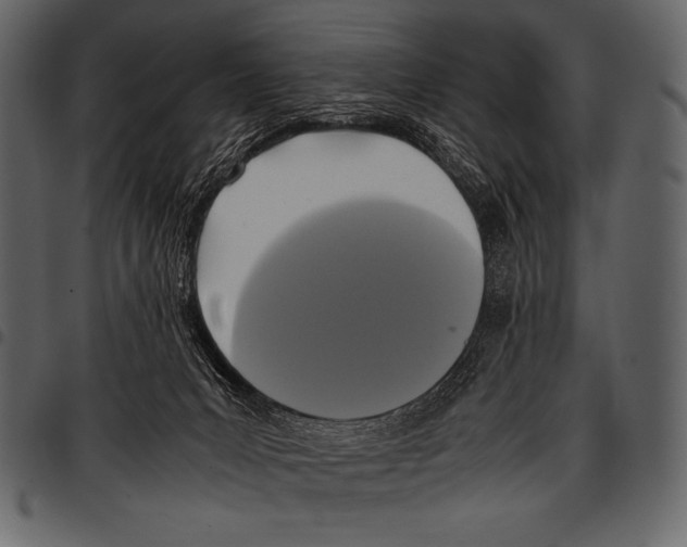 X0000097460031200803201436