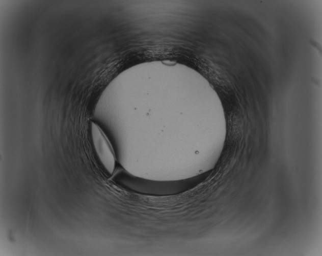 X0000097460033200803201436