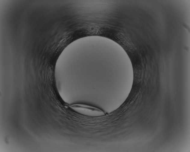 X0000097460035200803201436