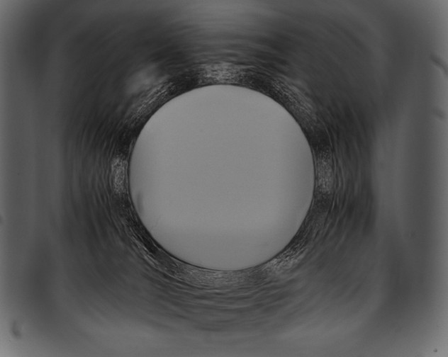 X0000097460036200803201436