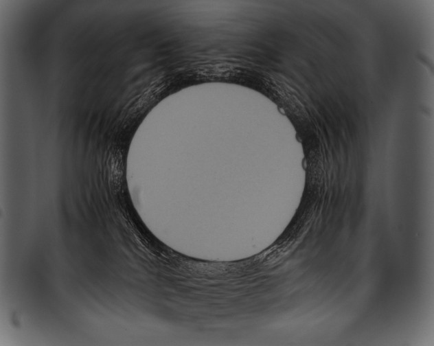 X0000097460040200803201436