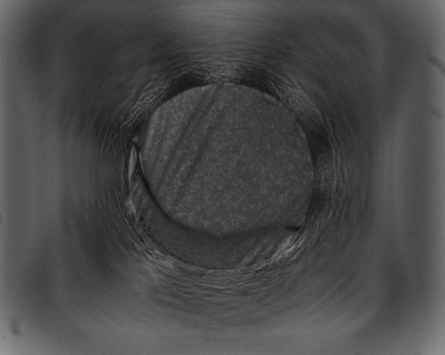 X0000097460041200803201436