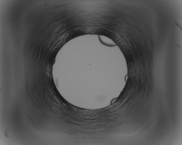 X0000097460044200803201436