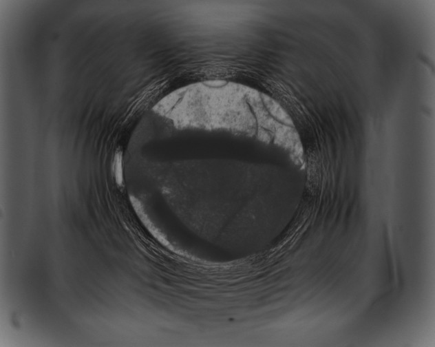 X0000097460046200803201436