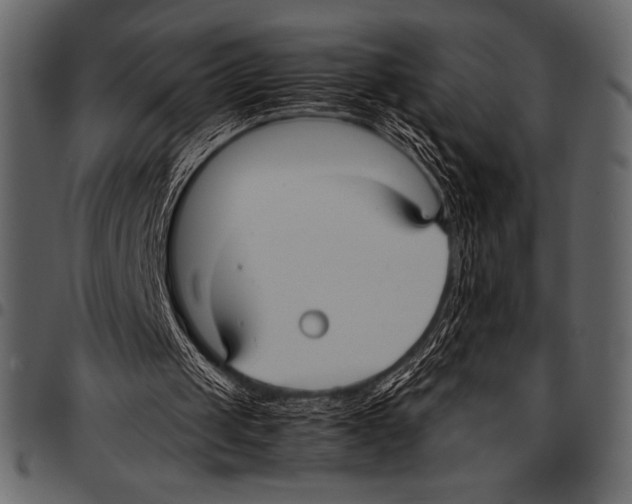 X0000097460049200803201435