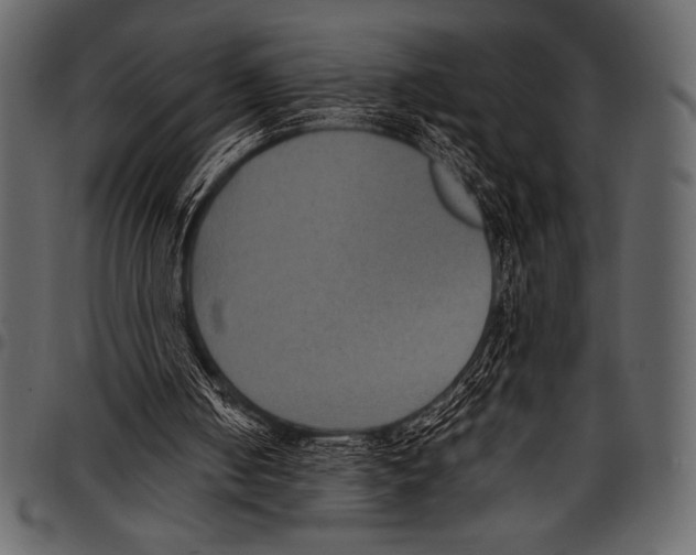 X0000097460050200803201435