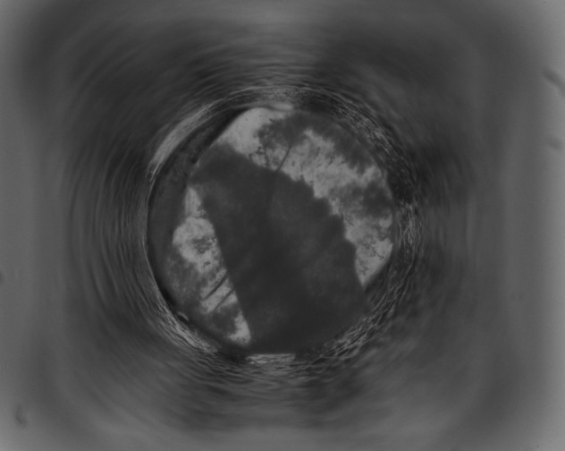 X0000097460051200803201435