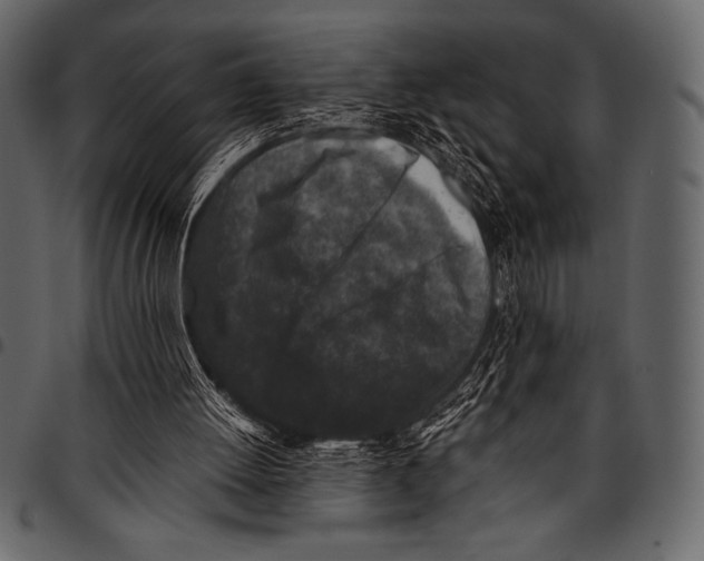 X0000097460052200803201435