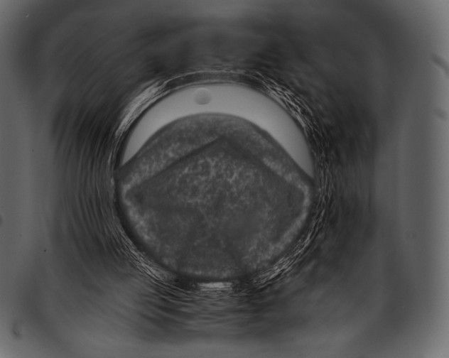 X0000097460053200803201435