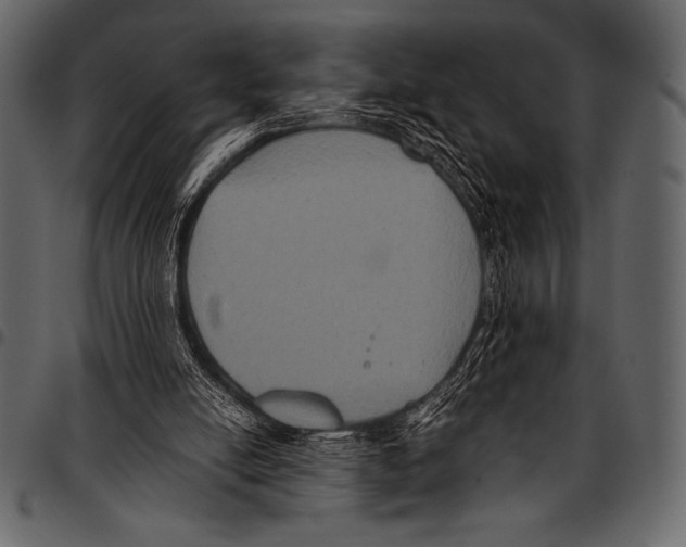 X0000097460054200803201435