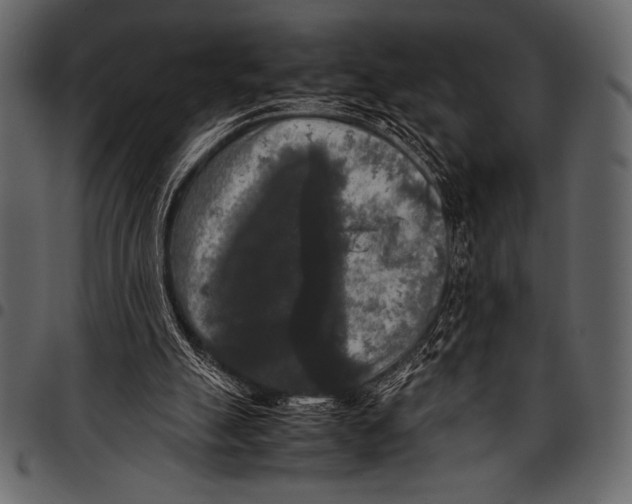 X0000097460055200803201435