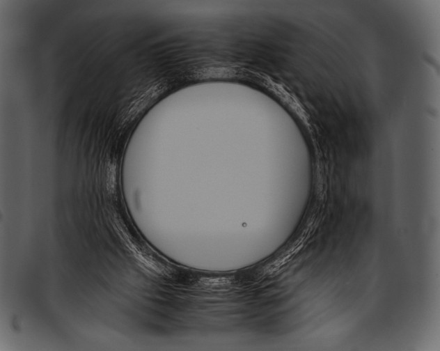 X0000097460057200803201435