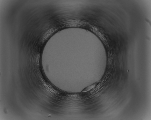 X0000097460058200803201435