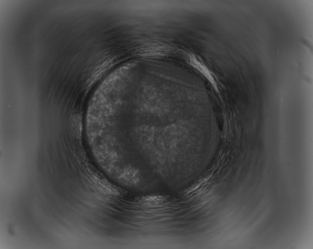 X0000097460059200803201435