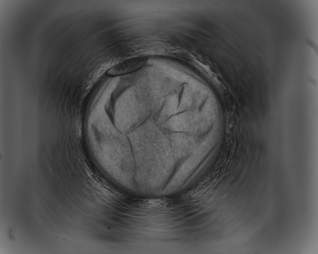 X0000097460060200803201435