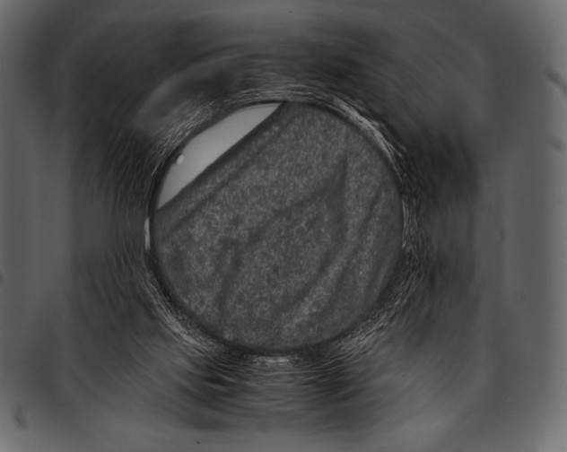 X0000097460061200803201435