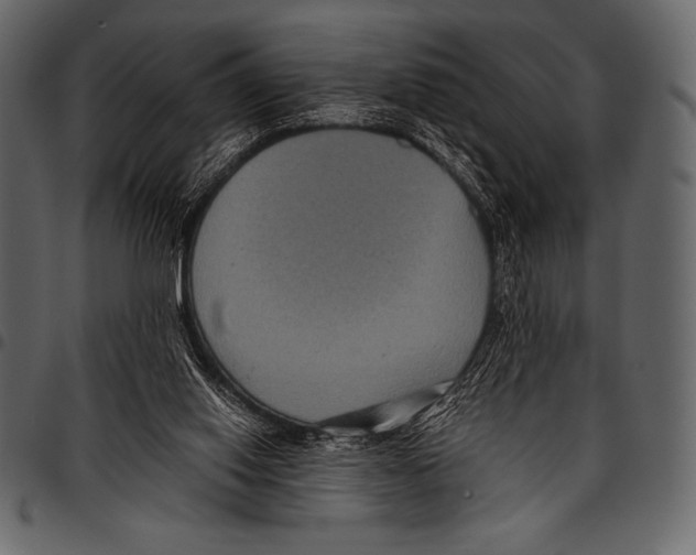 X0000097460062200803201435