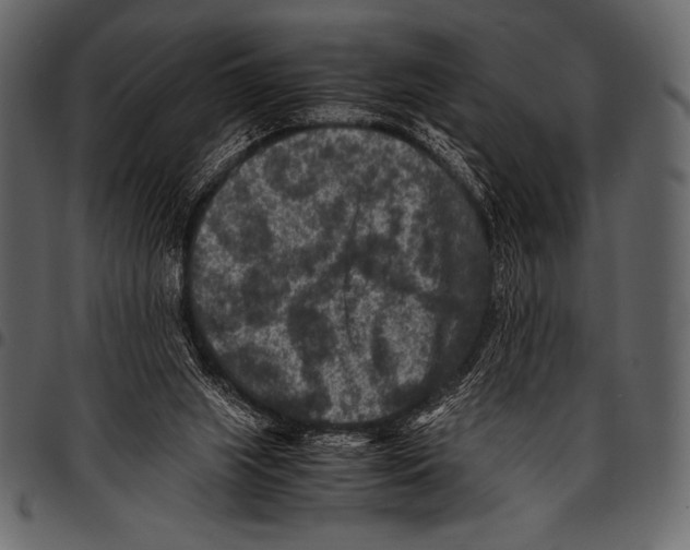 X0000097460063200803201435