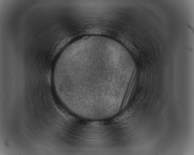 X0000097460064200803201435