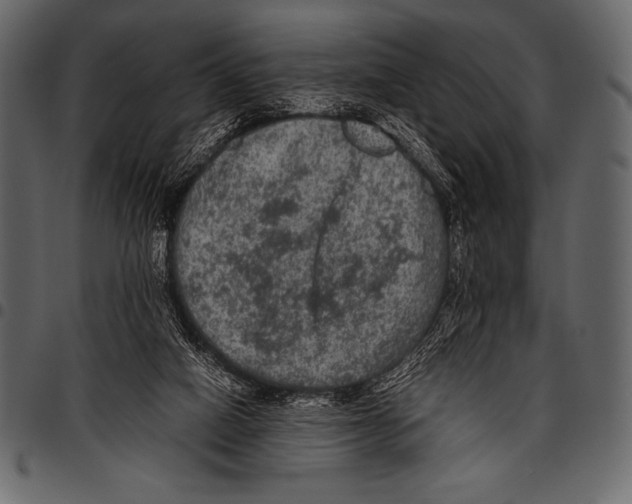 X0000097460066200803201435