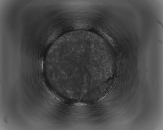 X0000097460067200803201435