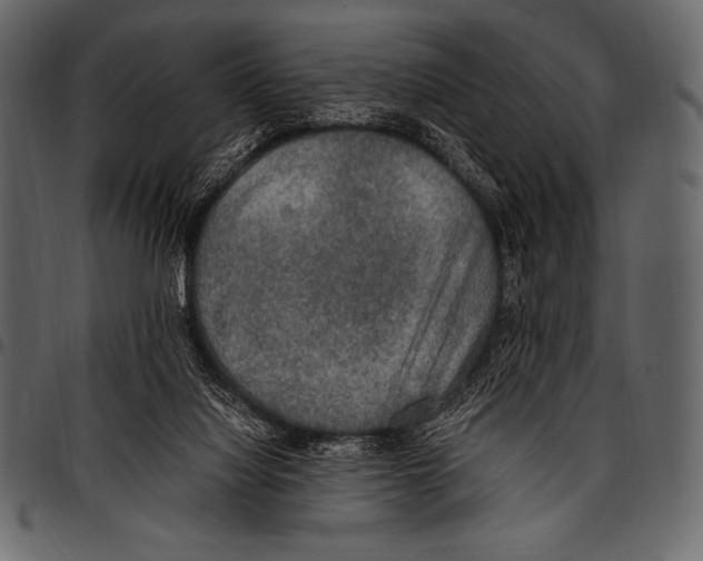 X0000097460068200803201435