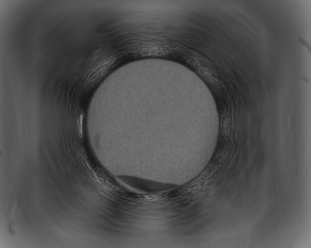 X0000097460070200803201435