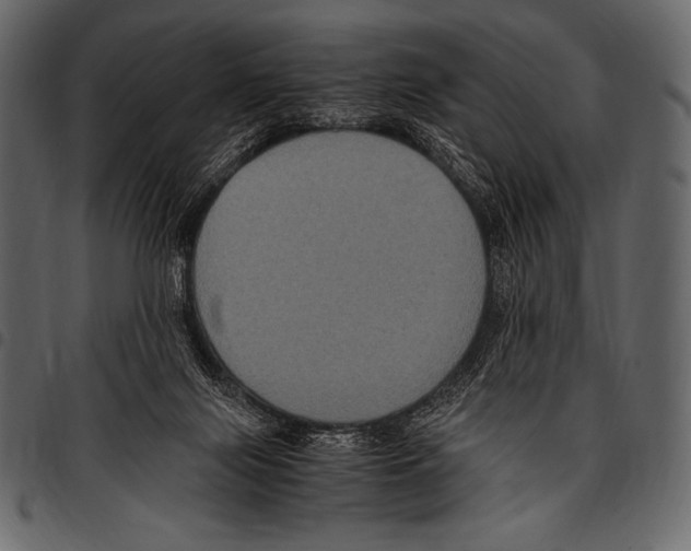 X0000097460071200803201435