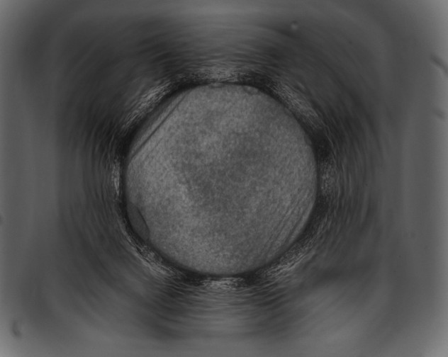 X0000097460072200803201435