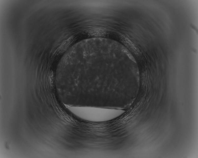 X0000097460073200803201435