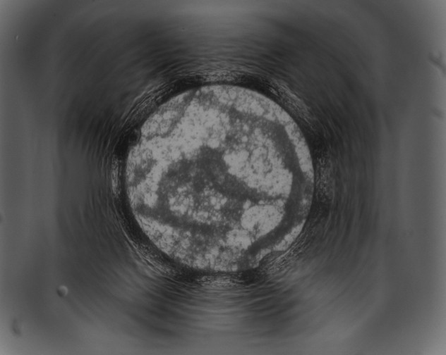 X0000097460074200803201435