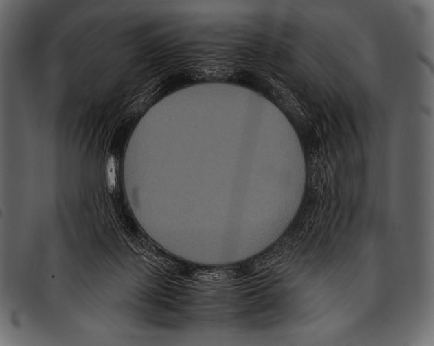 X0000097460075200803201435