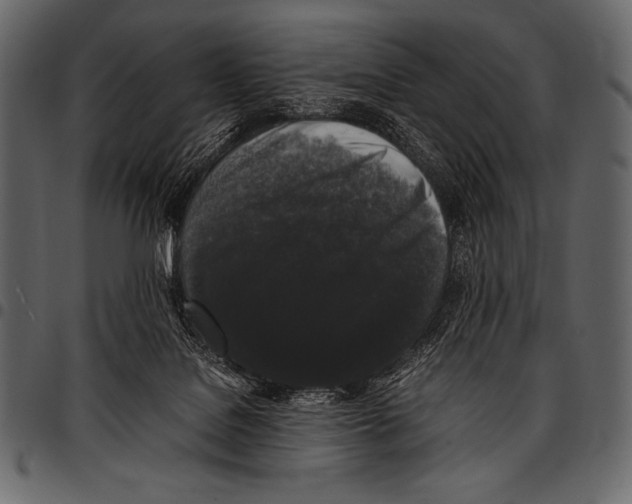 X0000097460076200803201435