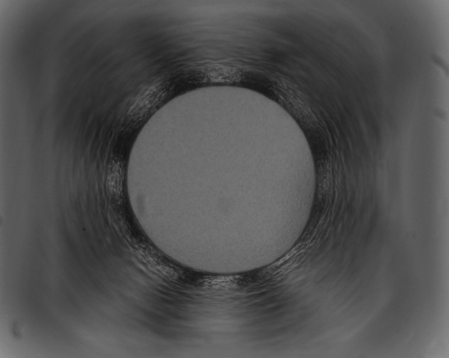 X0000097460078200803201435