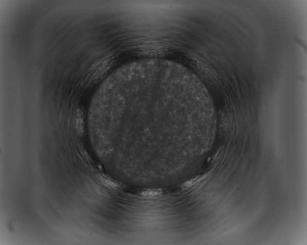 X0000097460080200803201435