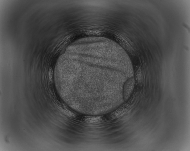 X0000097460081200803201435