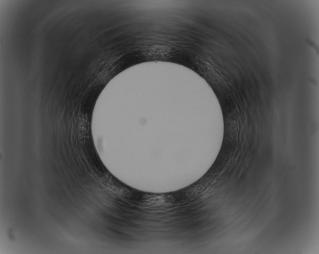 X0000097460083200803201435