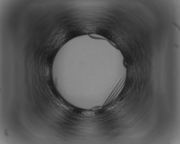 X0000097460084200803201435