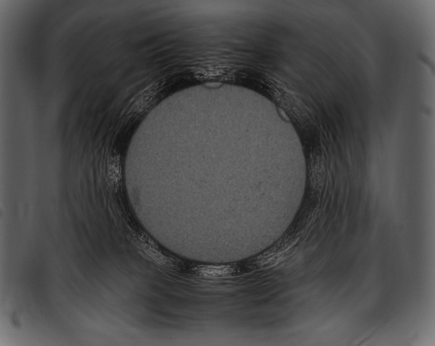 X0000097460085200803201435