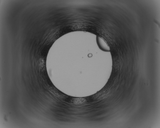 X0000097460087200803201435