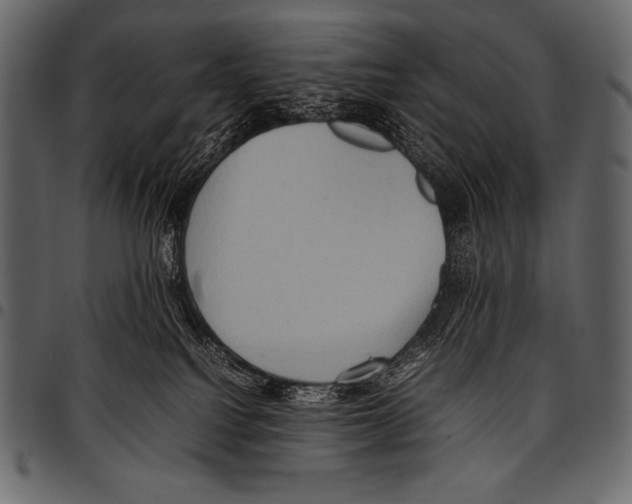 X0000097460088200803201435