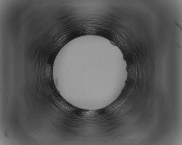 X0000097460092200803201435