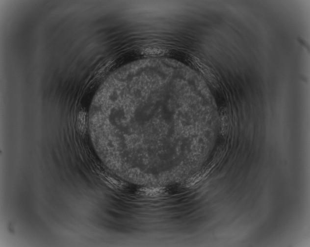 X0000097460093200803201436