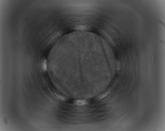 X0000097460095200803201436