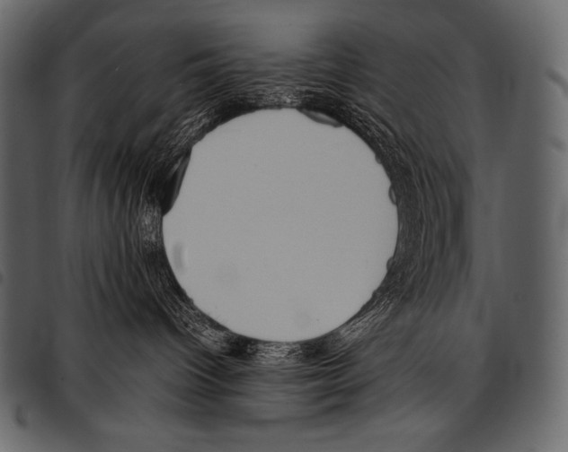 X0000097460096200803201436