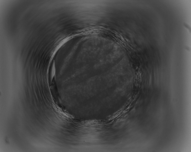 X0000097460100200803201435