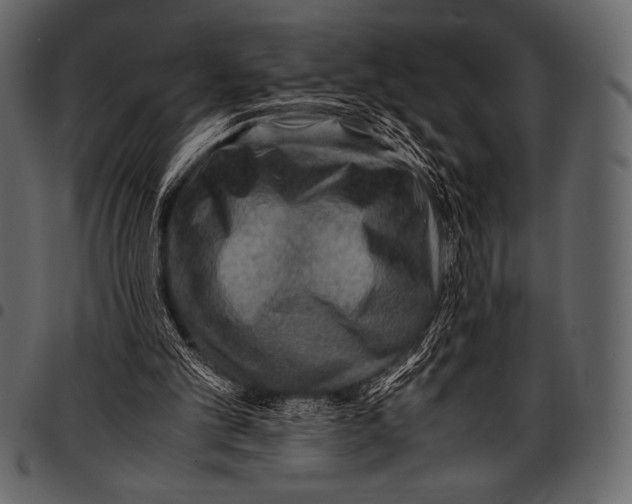 X0000097460101200803201435