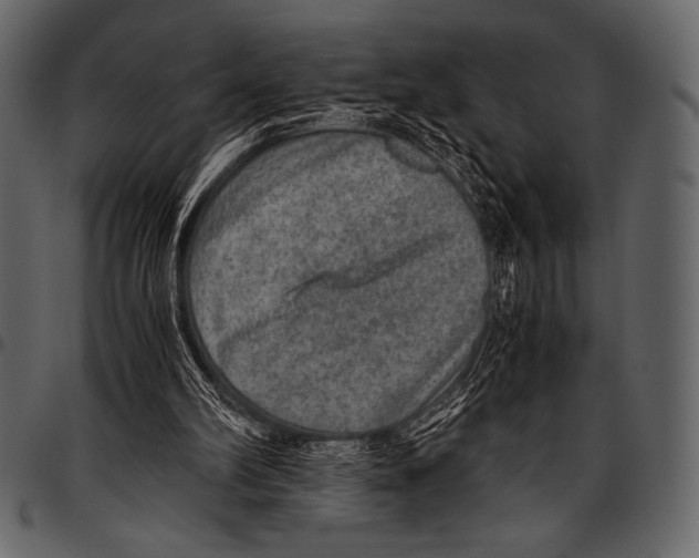 X0000097460102200803201435